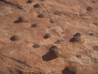 206 72r. Snow Canyon State Park - Petrified Sand Dunes trail - nodules on rock