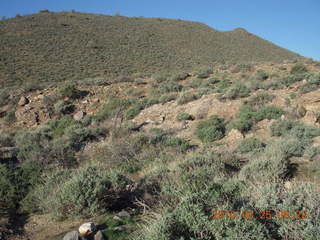 Lost Dog Wash run - green desert after a lot of rain