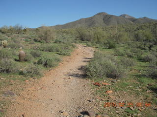 Lost Dog Wash run - green desert after a lot of rain