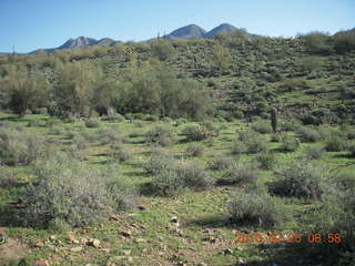 Lost Dog Wash run - green desert after a lot of rain