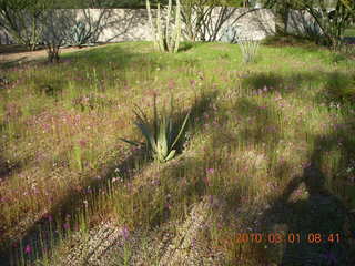 Woomera, total eclipse, zoom in 3