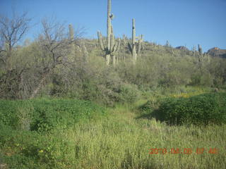 Metate Trail hike