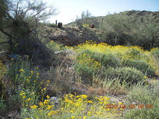 Lost Dog Wash hike