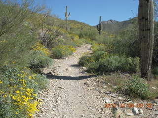 Lost Dog Wash hike