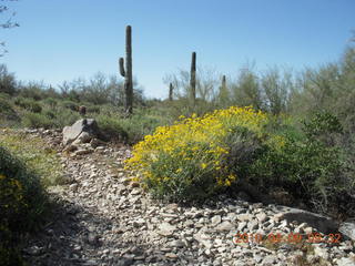 Lost Dog Wash hike