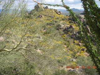 Metate Trail hike - Steve