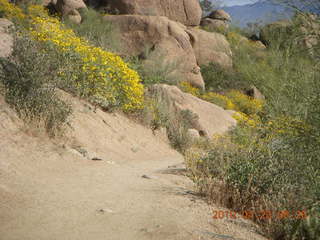 Pinnacle Peak hike