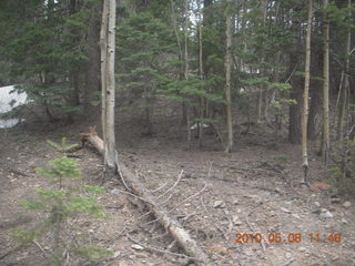 11 778. drive up Mt. Graham