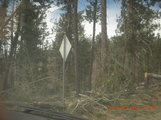 17 778. drive up Mt. Graham