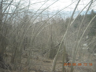 20 778. drive up Mt. Graham