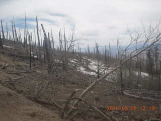 22 778. drive up Mt. Graham