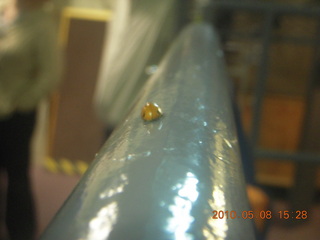 142 778. Vatican telescope at Mt. Graham - ladybug