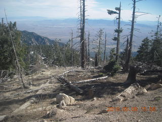 146 778. drive down Mt. Graham