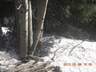 149 778. drive down Mt. Graham - snow