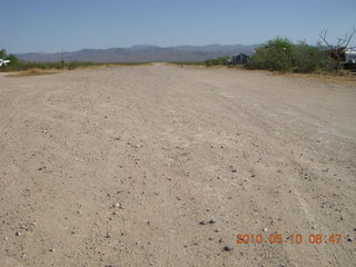 Alamo Lake run