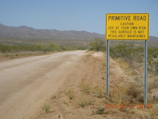 Alamo Lake run