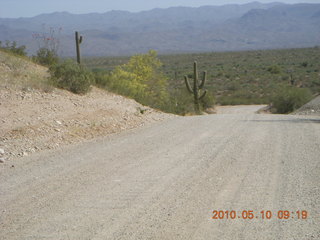 Alamo Lake run