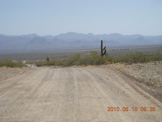 Alamo Lake run