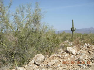 Alamo Lake run - back to beginning again