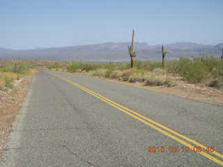 Alamo Lake run