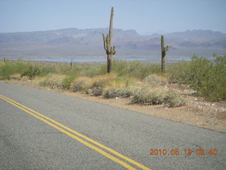 74 77a. Alamo Lake run