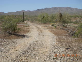 Alamo Lake run