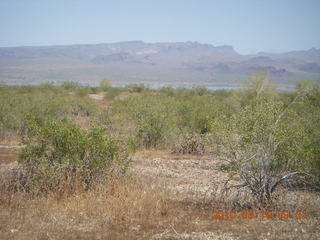 Alamo Lake run