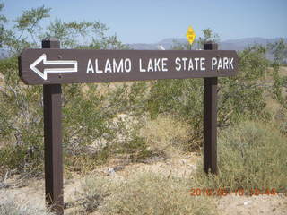 Alamo Lake run