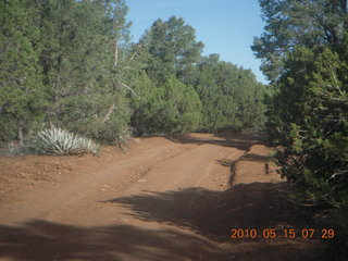 Payson Airport run