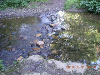 Broomall run - creek