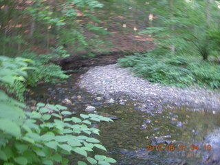 Broomall run - creek