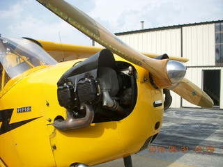 Neil's Piper Cub