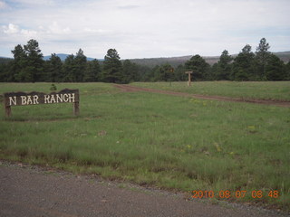 New Mexico back-country trip - Negrito run - flowers