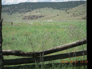 New Mexico back-country trip - N4372J panel