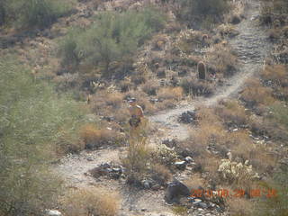 New Mexico back-country trip - Negrito run - Adam running