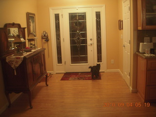 Watkins cat  (not  included in airplane sale)