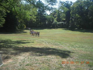 CHS XC 2010