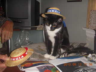 Sea Girt - M&M's cat plus hat