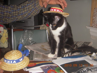 Sea Girt - M&M's cat plus hat