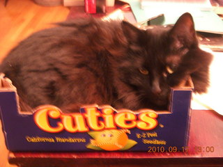 Hannah in a Cuties box