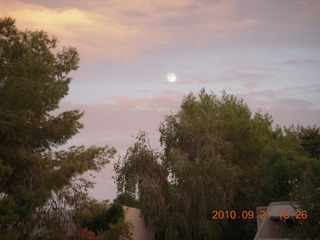 moonlit trees at Sandy's in New Jersey