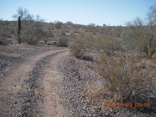 180 7br. Alamo Lake run