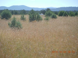 Me-Own airstrip run - N8377W in the distance