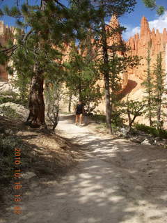 44 7cg. Bryce Canyon - Adam