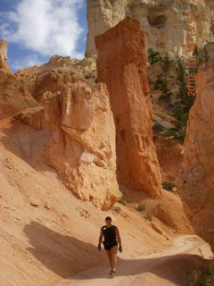 Bryce Canyon - mules