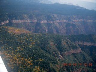 aerial - yellow-top trees on the north rim