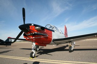 Will's Copperstate pictures