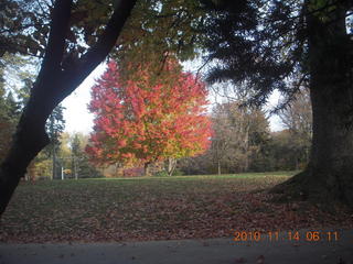 Greenwood Avenue in Cheltenham