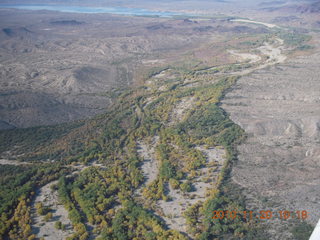 188 7dl. green trees on the way to Alamo Lake