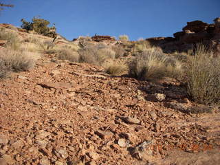 30 7dt. Moab trip - Canyonlands Lathrop hike